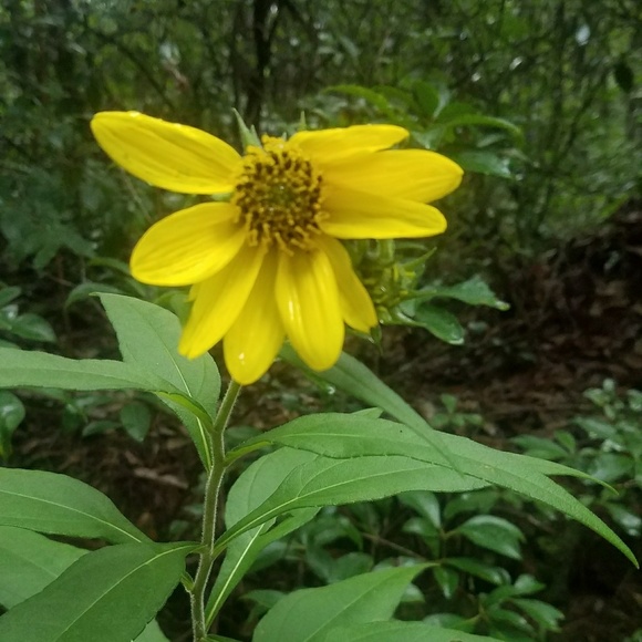 Everything i Can - Picture 6 of 15